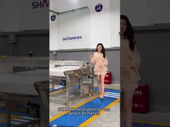 Détecteur de métaux alimentaires de taille personnalisée pour la ligne de transformation alimentaire